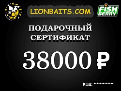 Подарочный сертификат LION на 38000 рублей